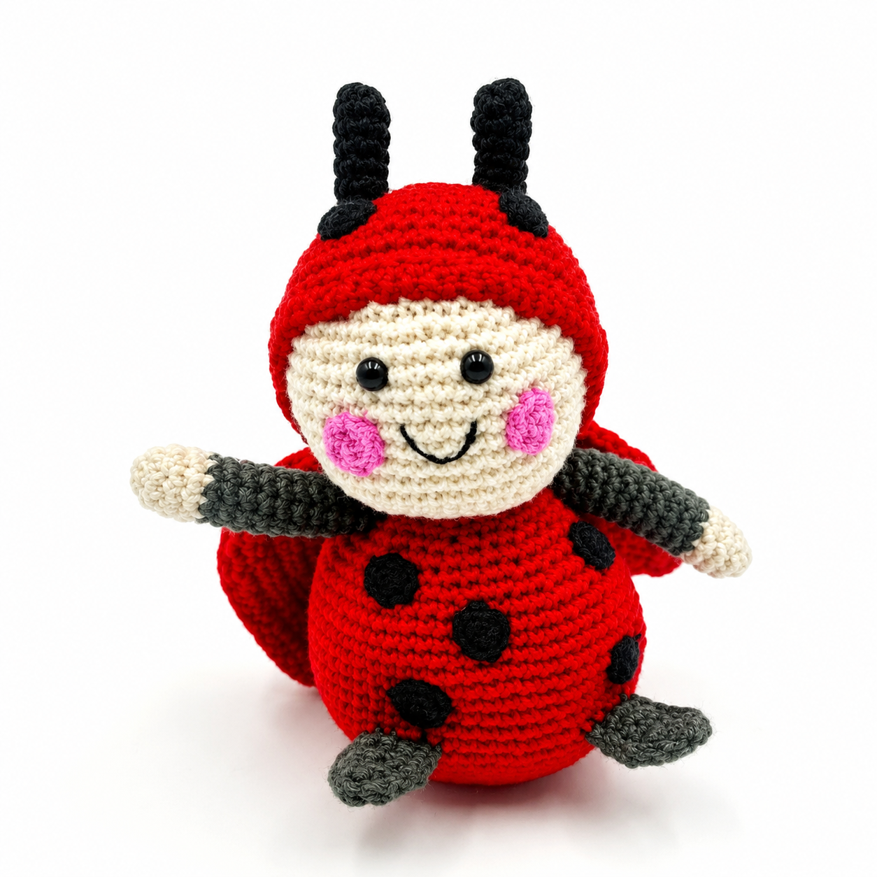pebble child red lady bird rattle