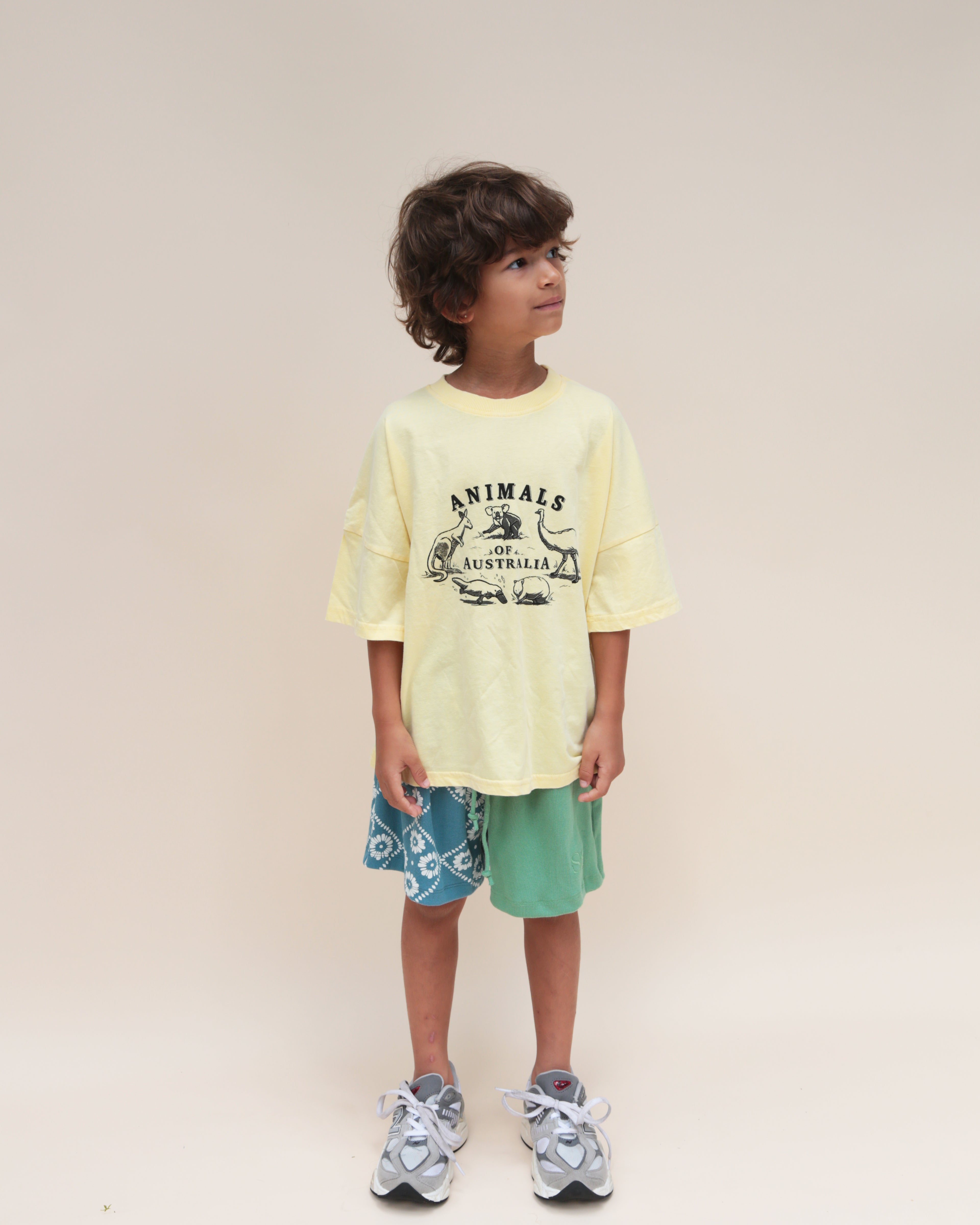 summer and storm oversized tee - animals of australia