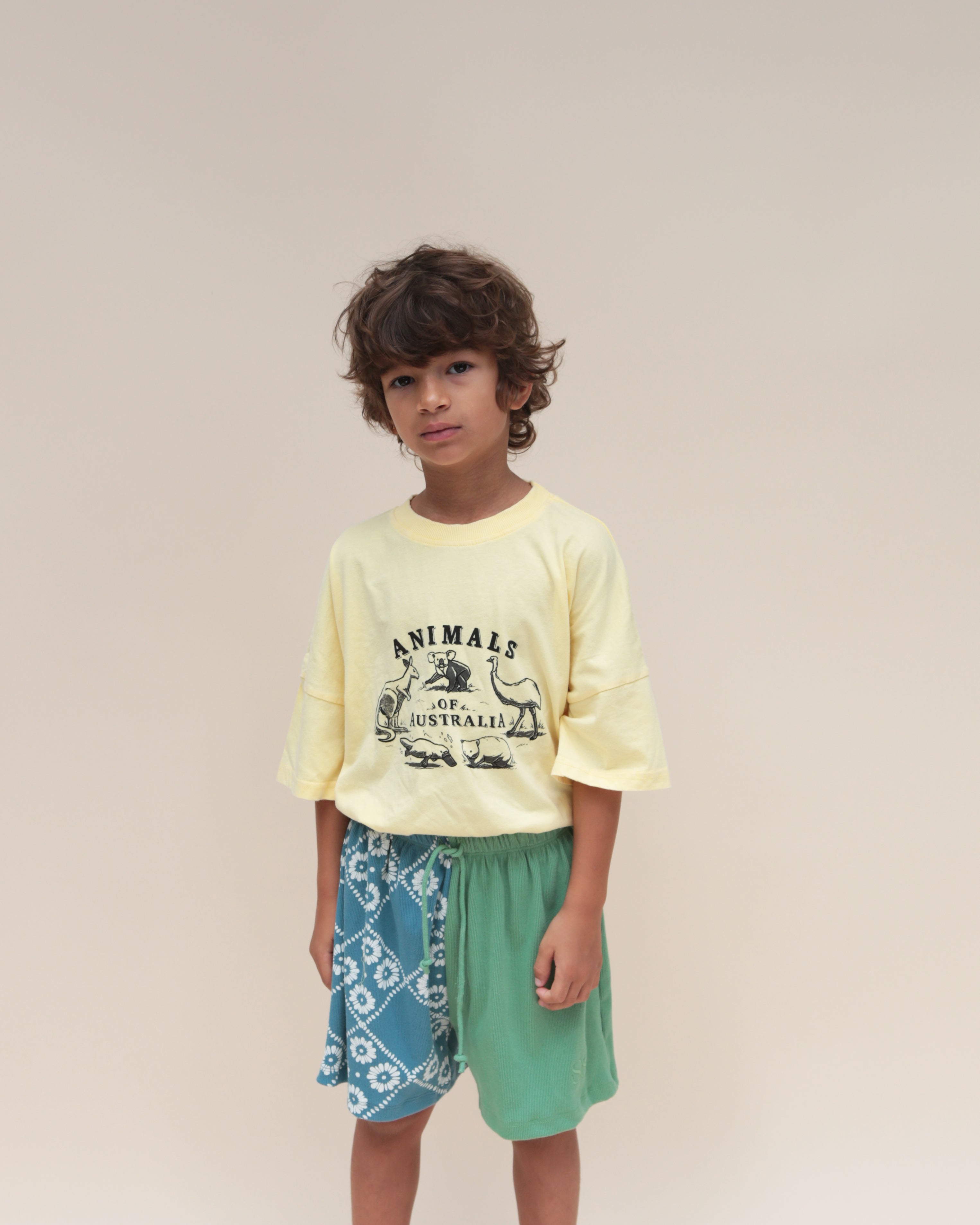 summer and storm oversized tee - animals of australia