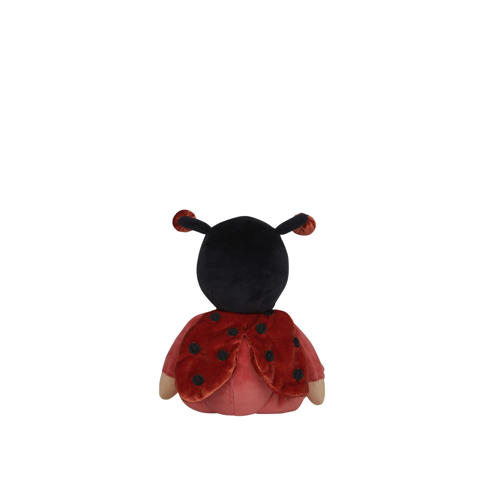 olli ella dinky dinkum - lola ladybug