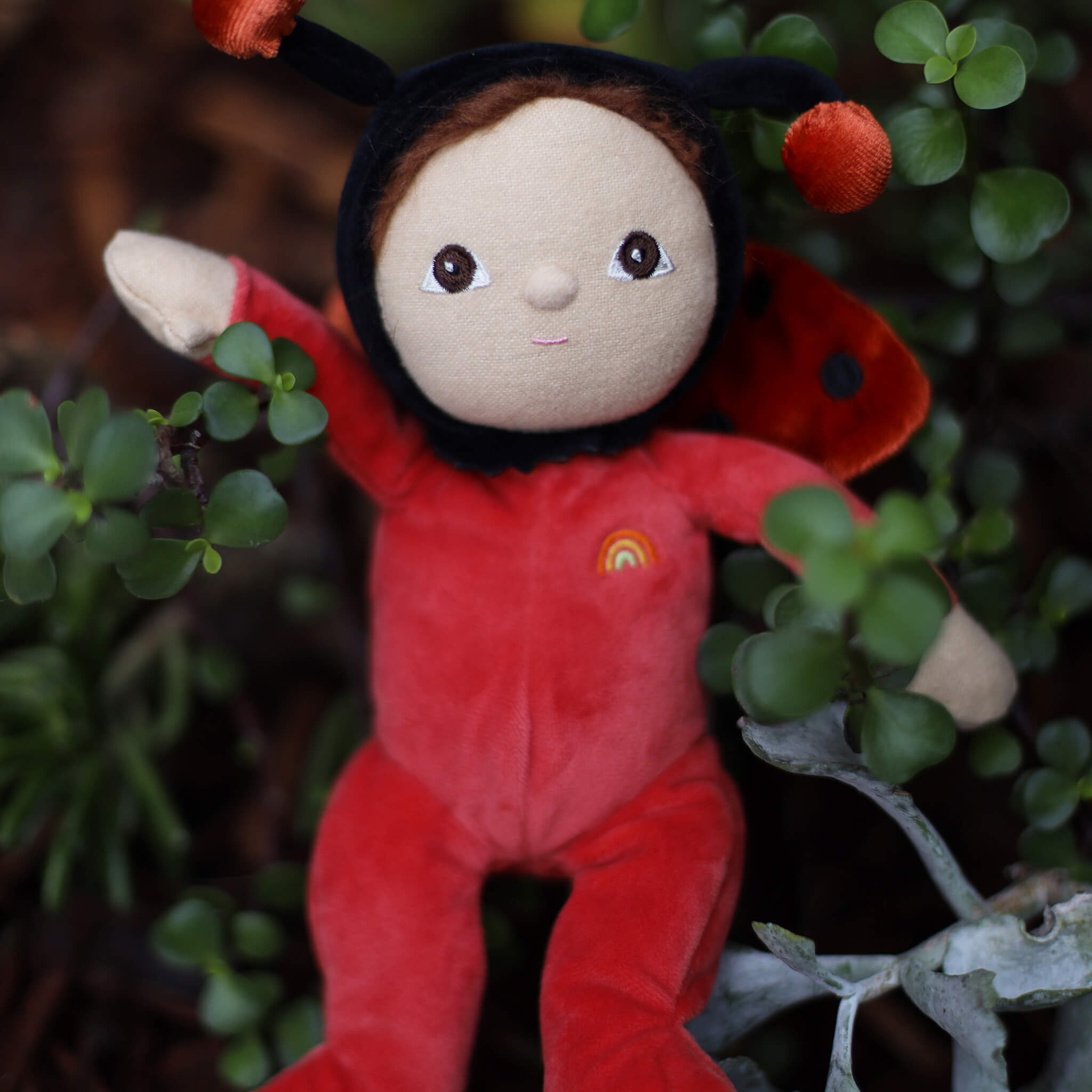 olli ella dinky dinkum - lola ladybug
