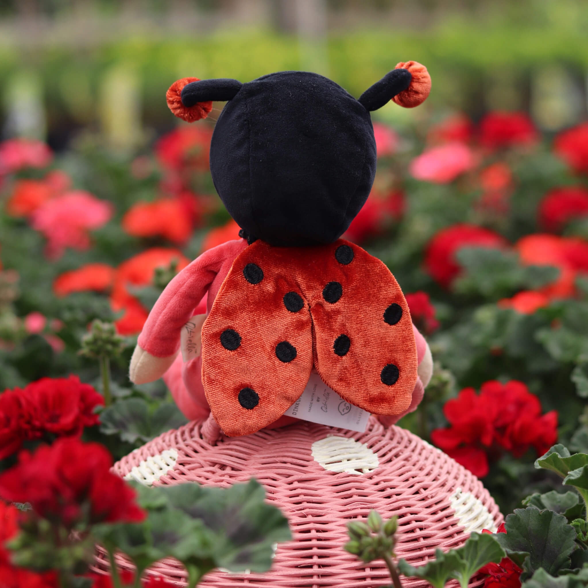 olli ella dinky dinkum - lola ladybug