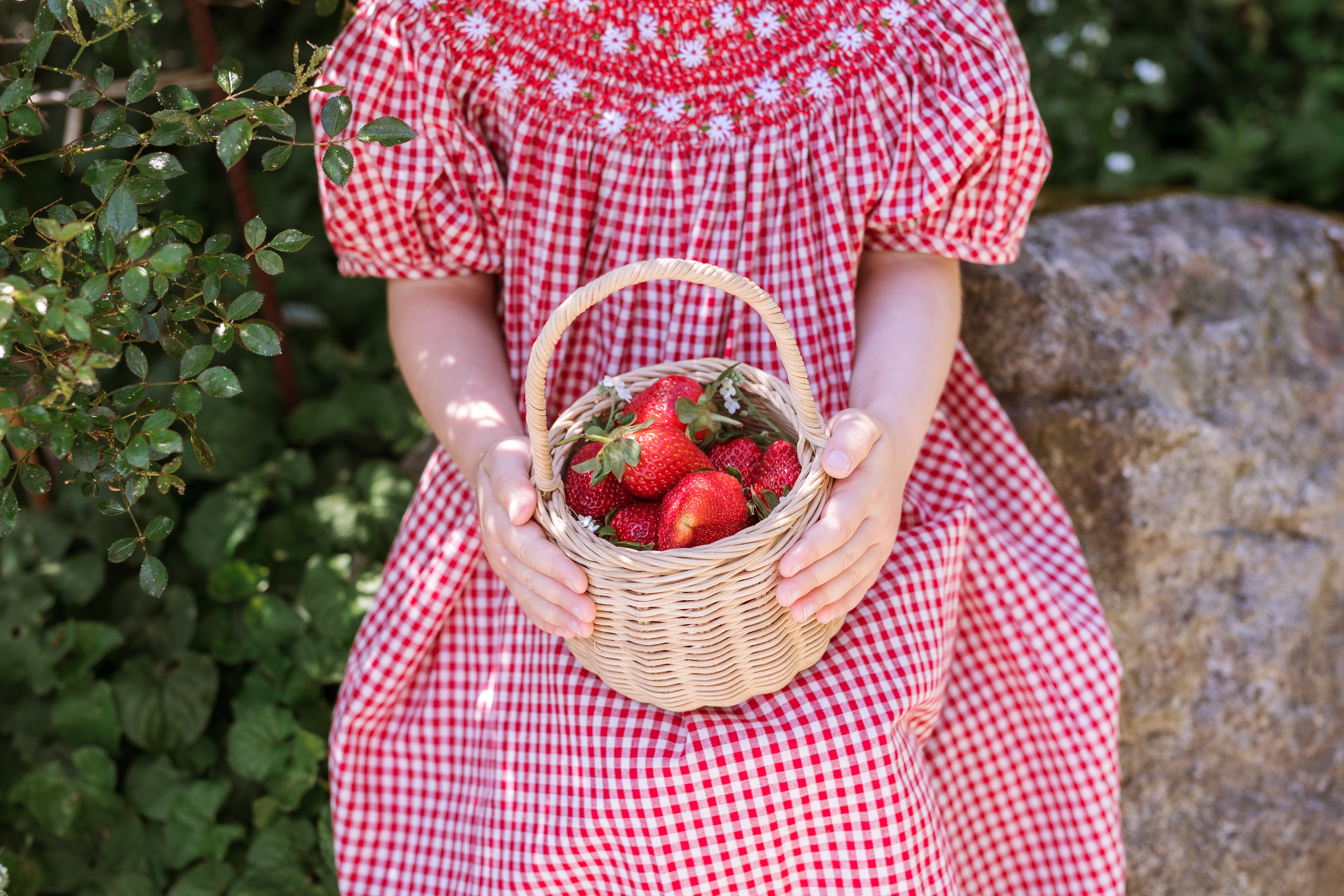 elma celeste dress - strawberry gingham - pre order