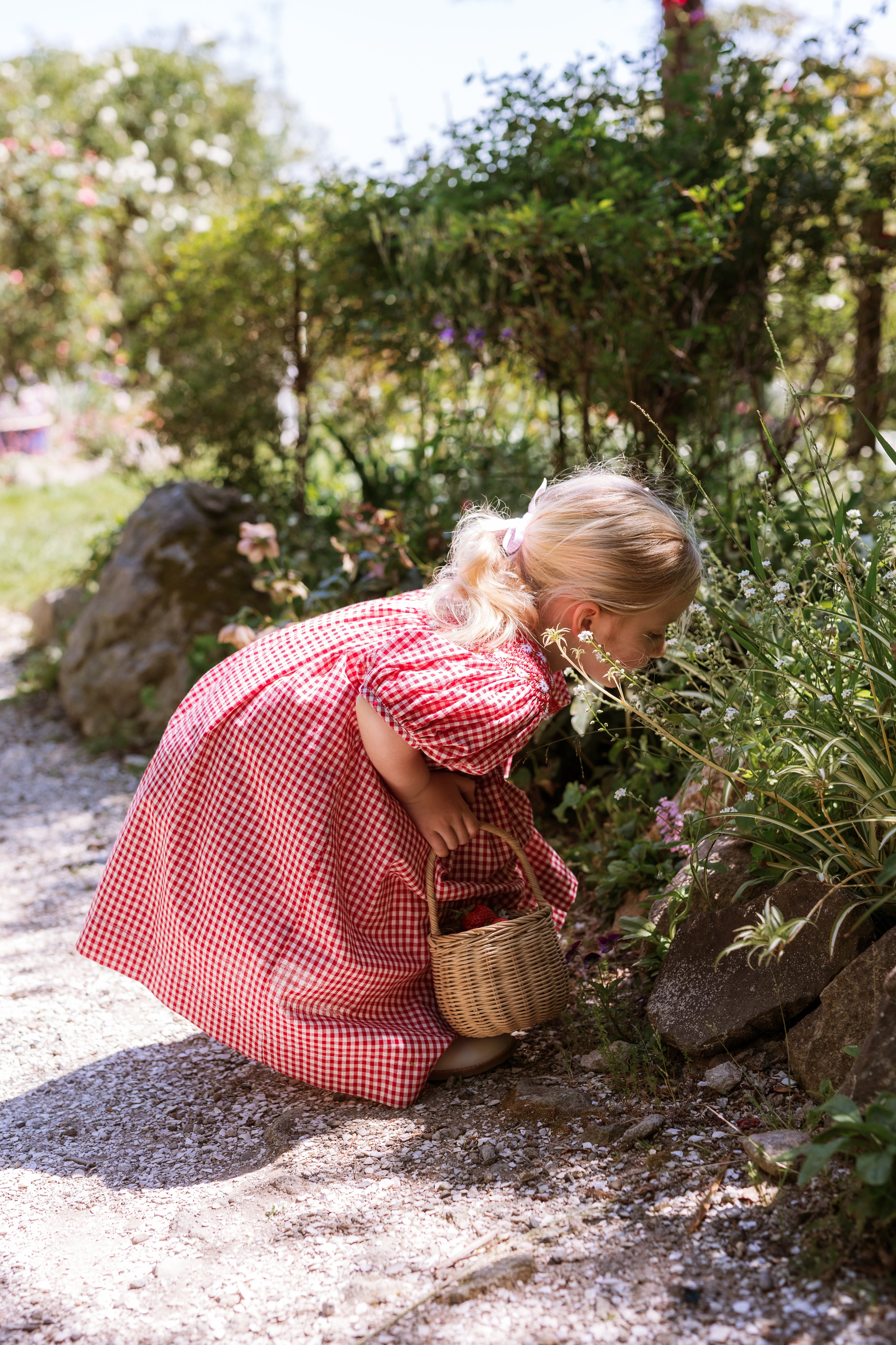 elma celeste dress - strawberry gingham - pre order