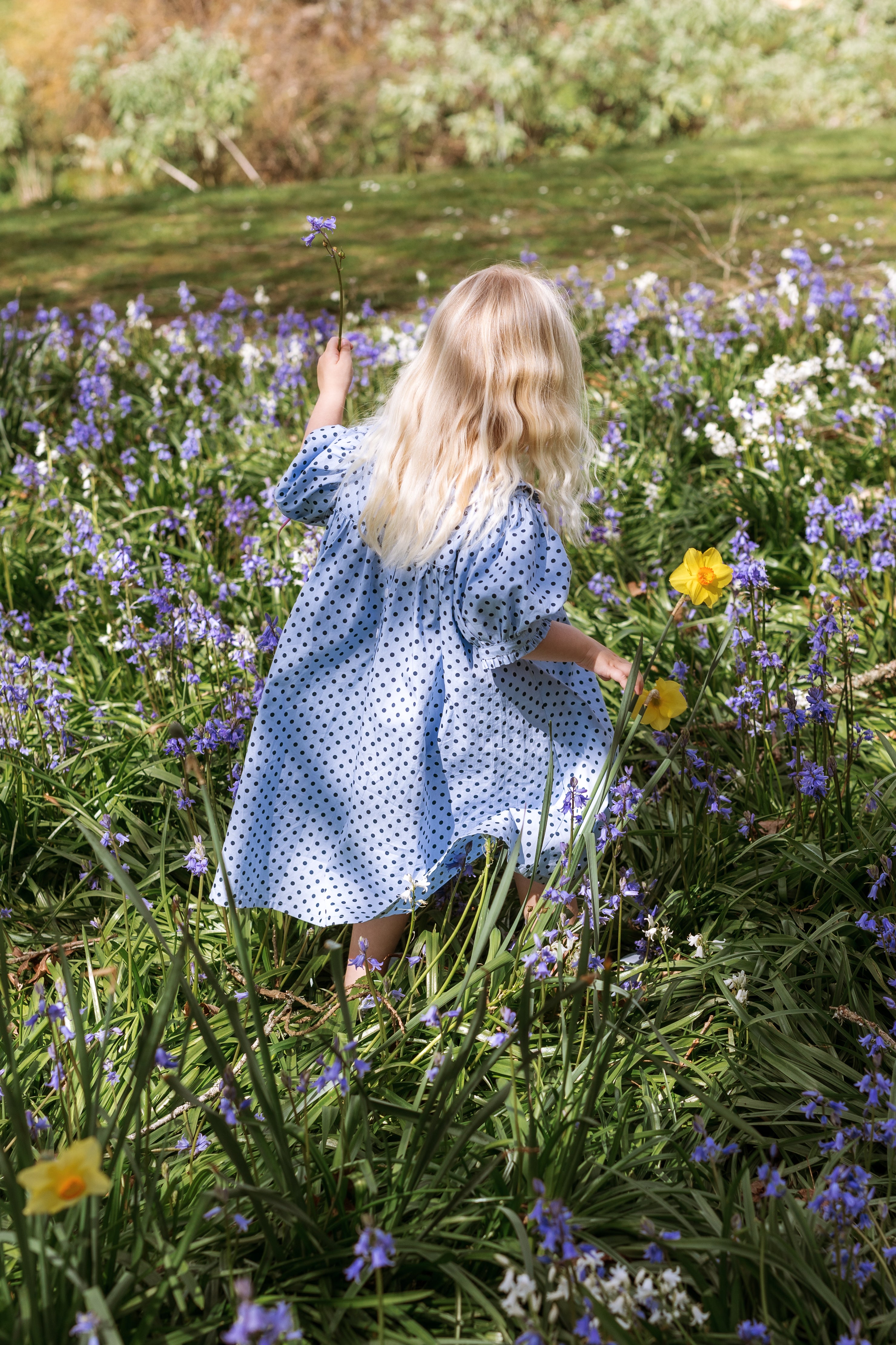 elma birdie dress - periwinkle dot