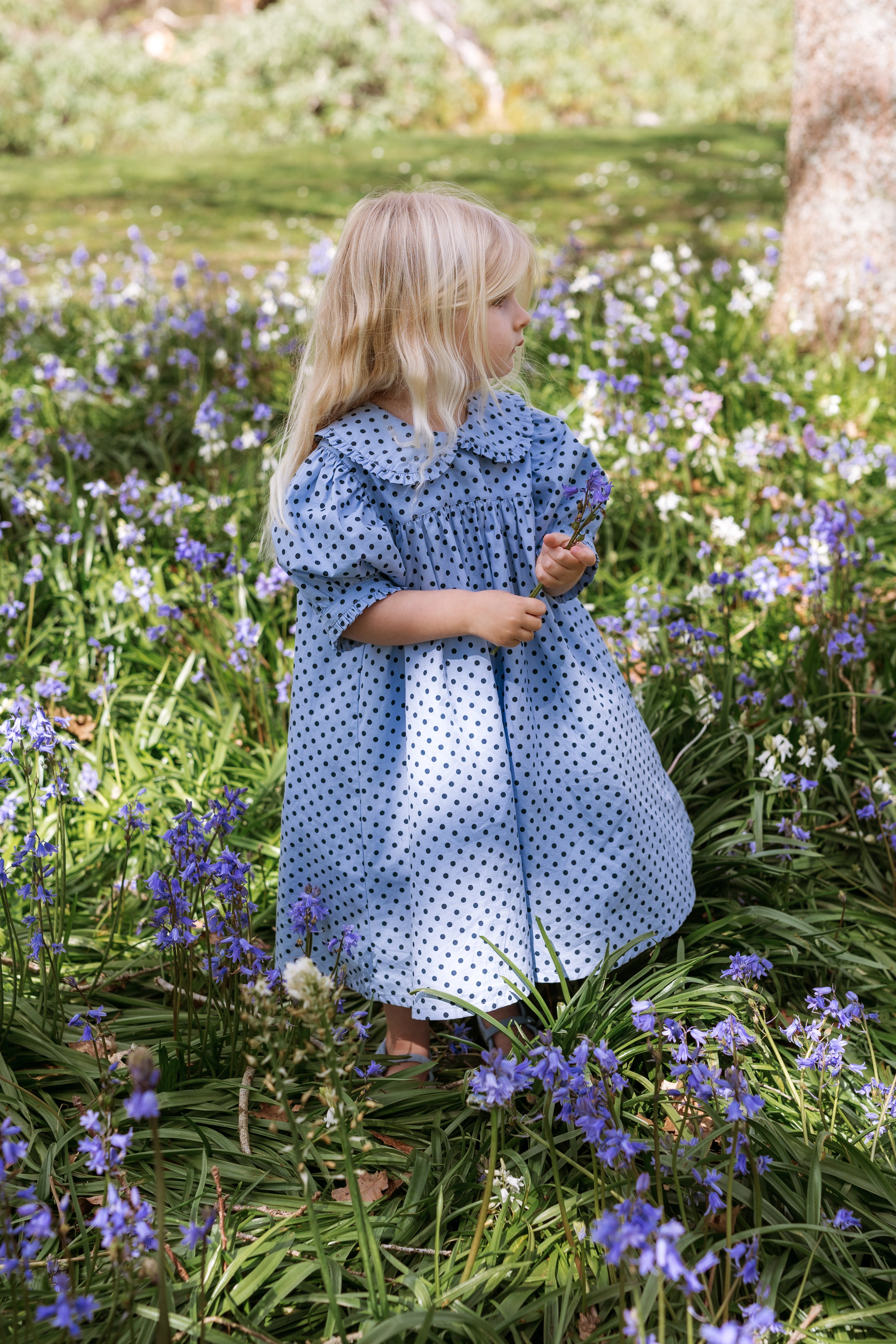elma birdie dress - periwinkle dot