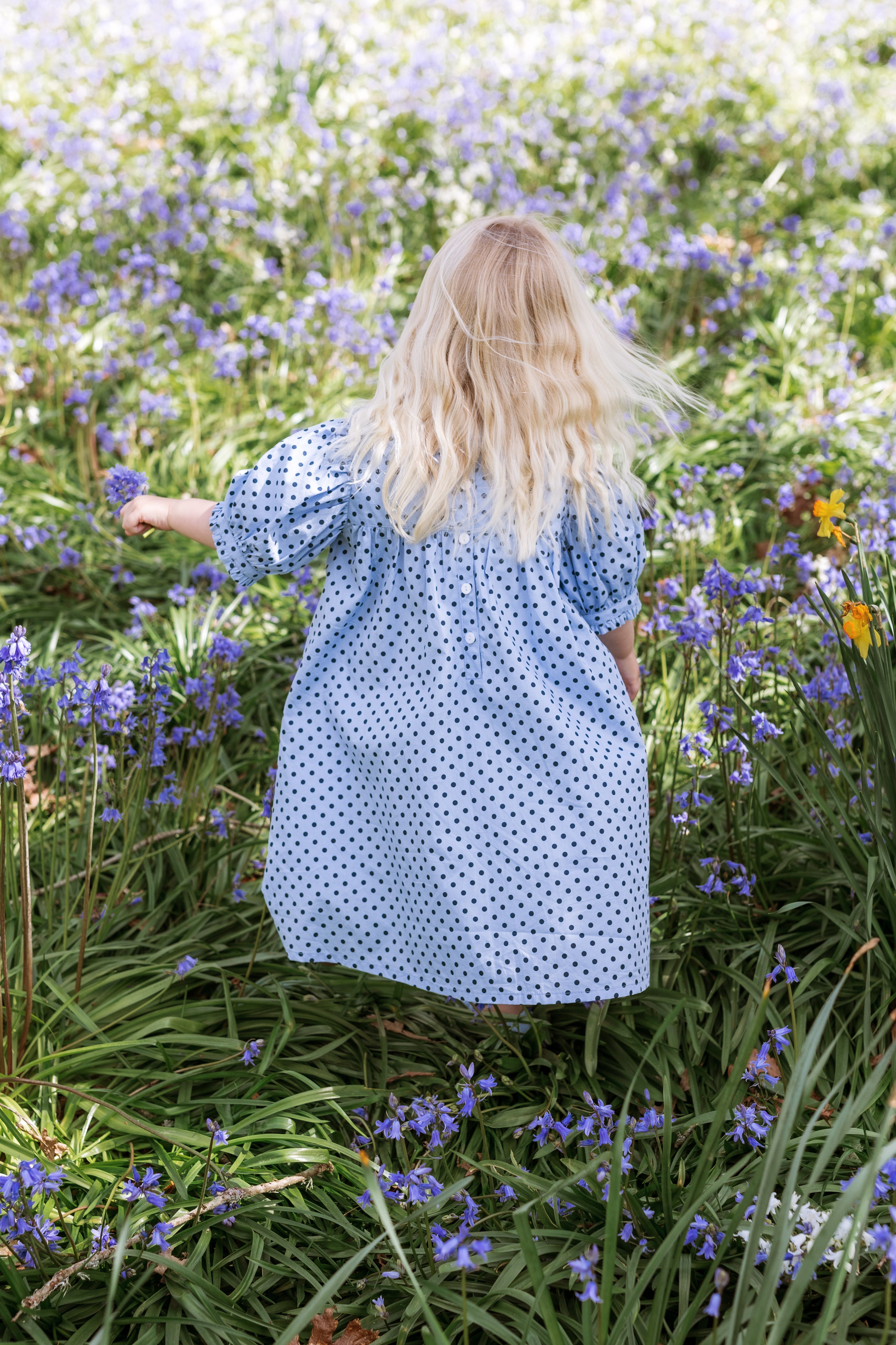 elma birdie dress - periwinkle dot