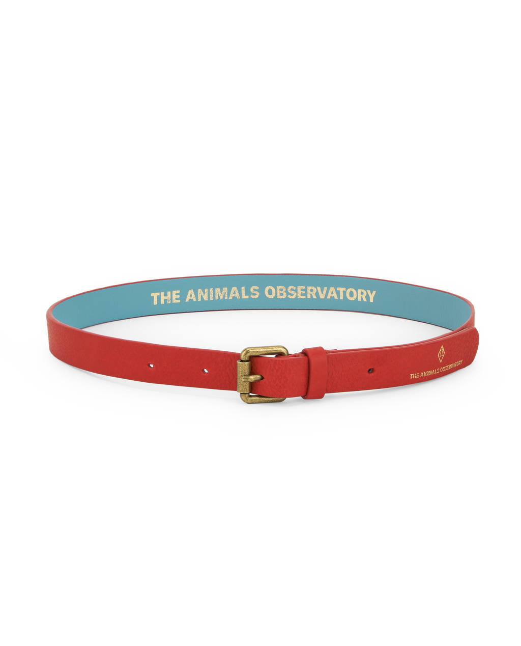 t*t様 the animals observatory Felt Belt B the animals observatory ibis kids belt - red