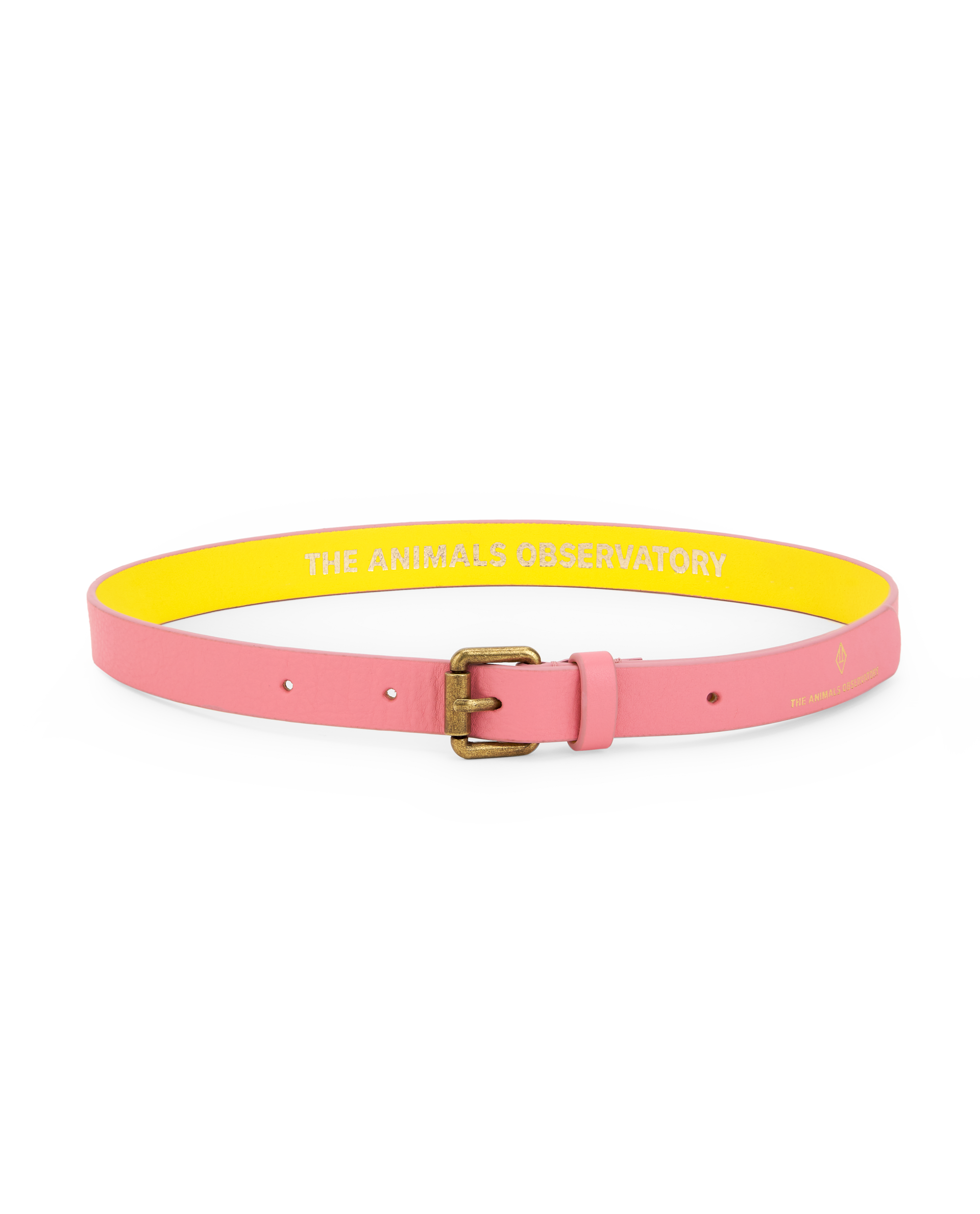 the animals observatory ibis kids belt - pink