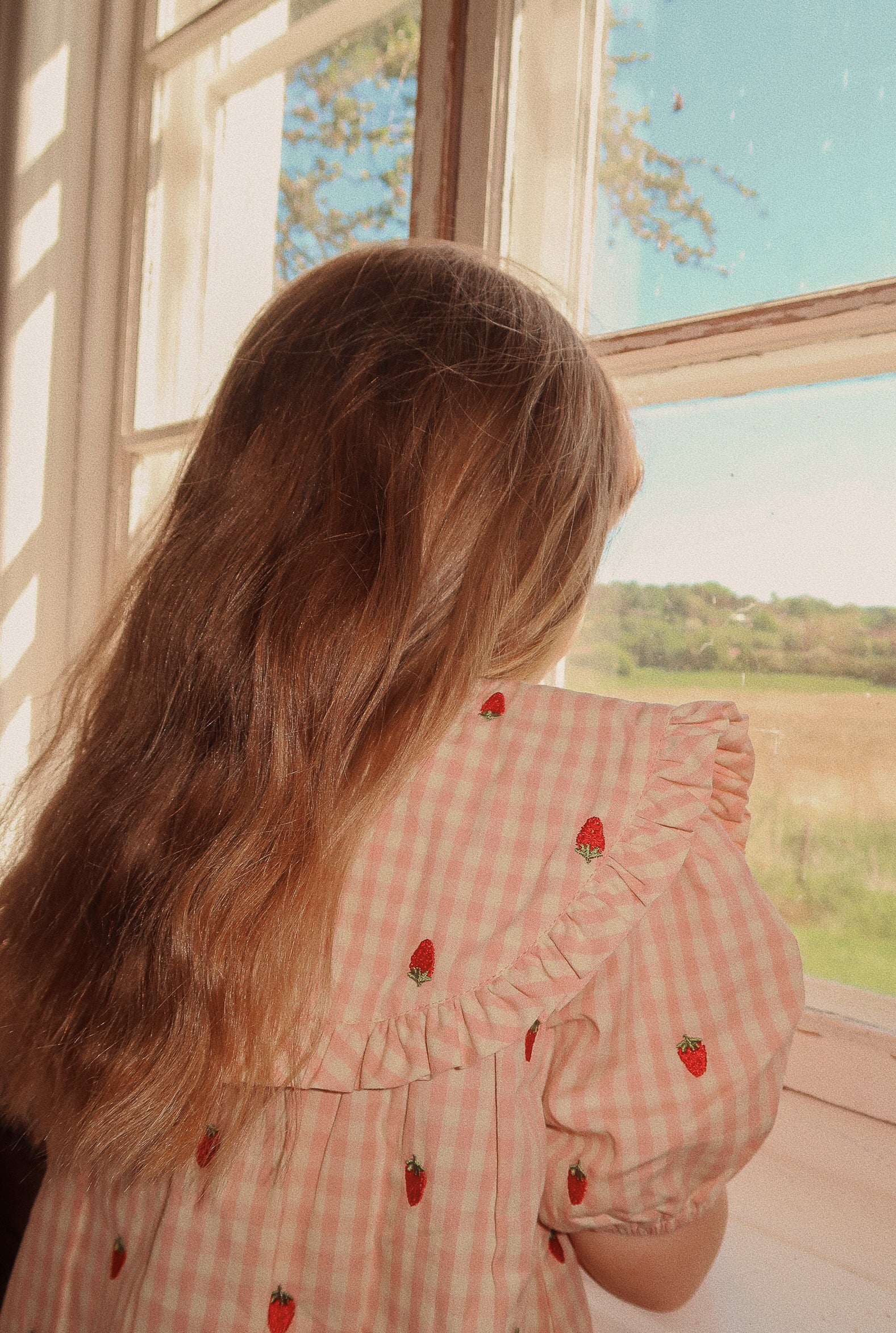 flöss sofia dolly ss dress - pink berry gingham - pre order