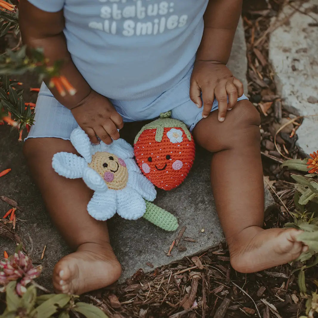 pebble child daisy flower rattle