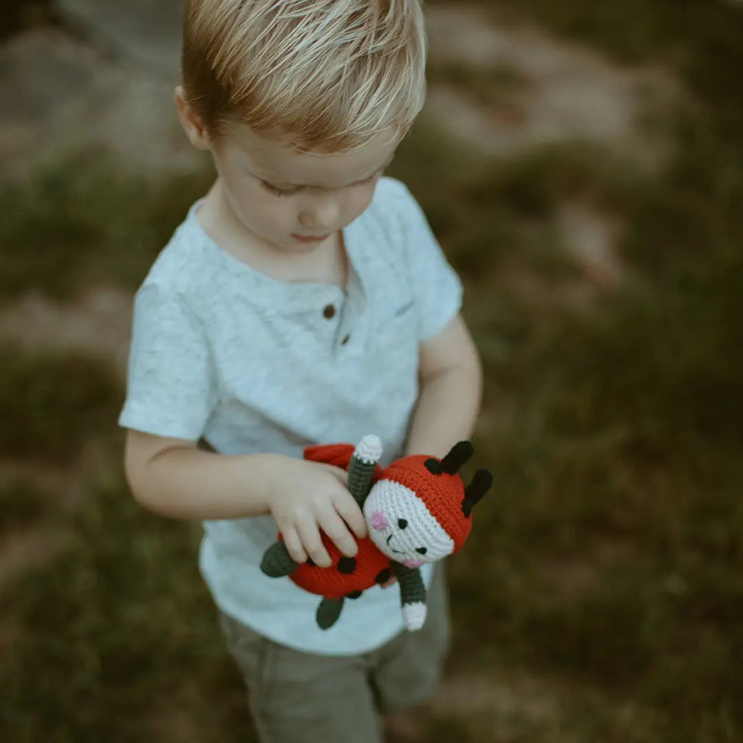 pebble child red lady bird rattle