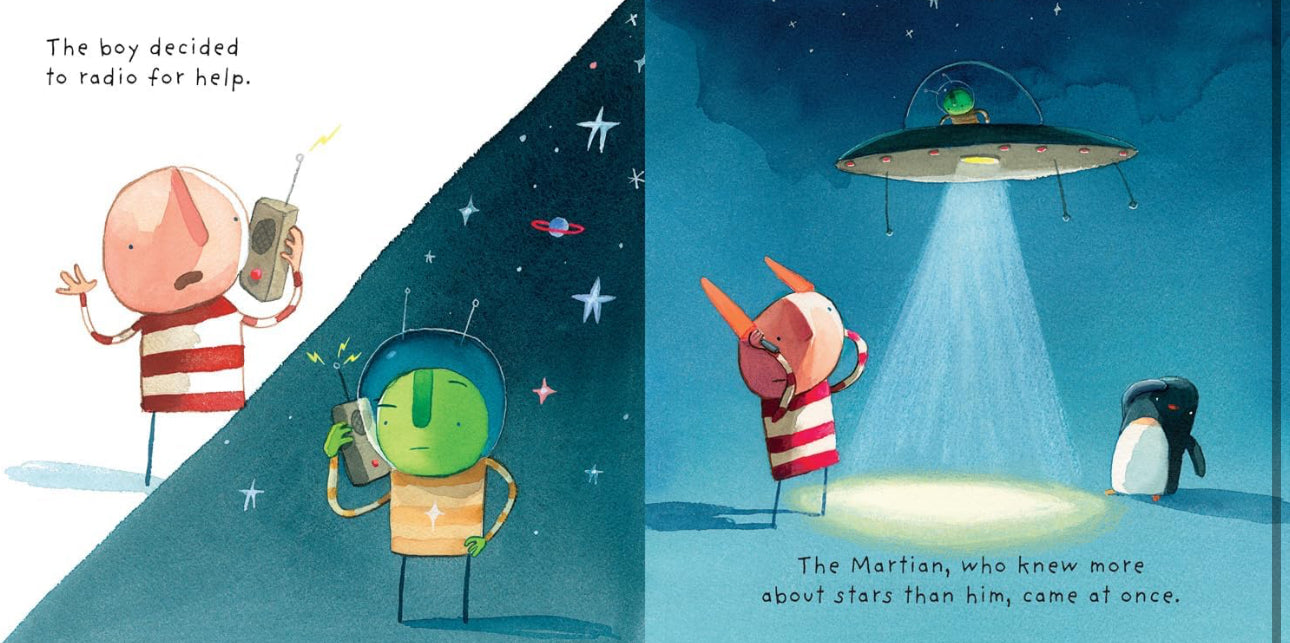 book - where to hide a star