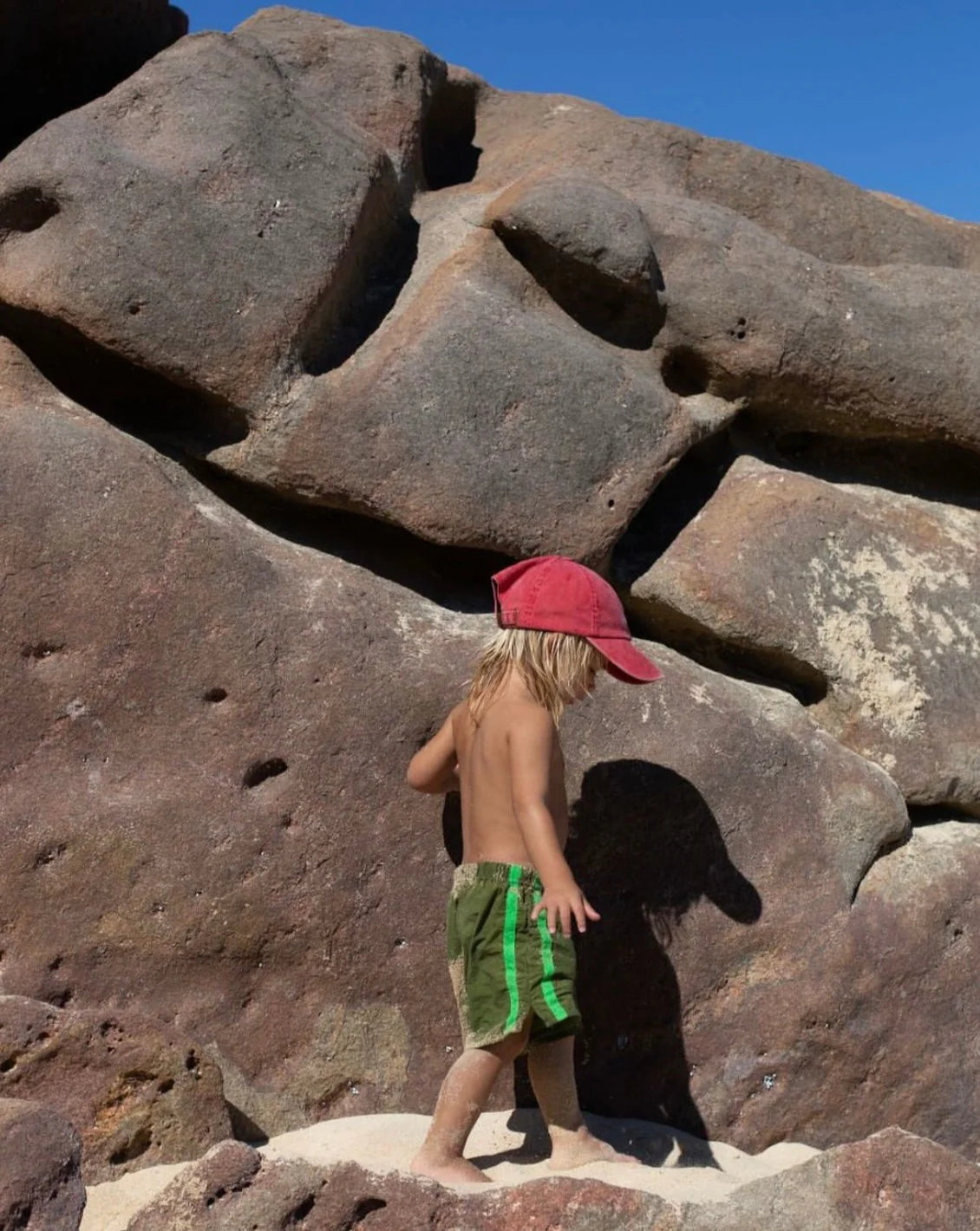 ziggy zaza twin stripe swim short - frog