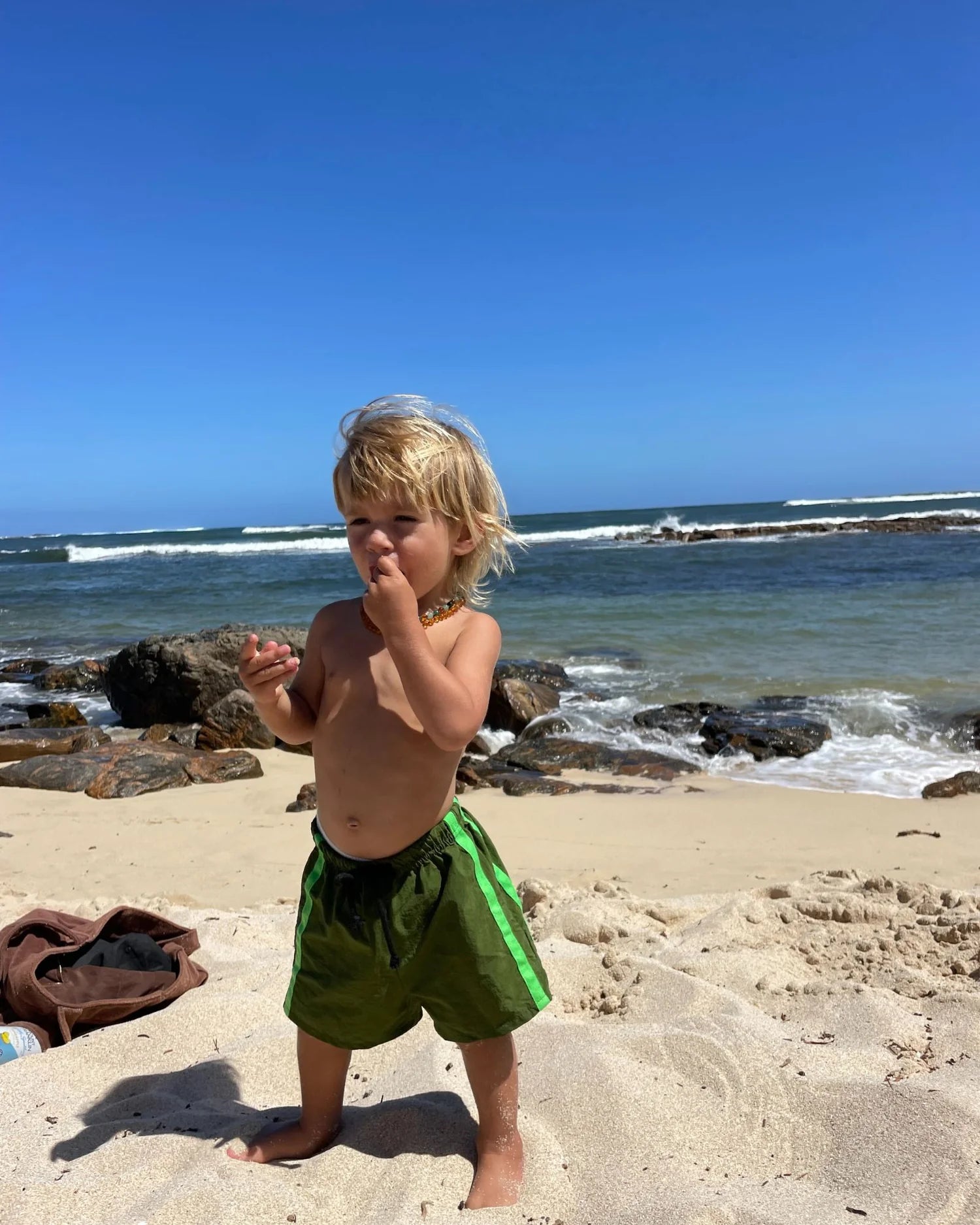 ziggy zaza twin stripe swim short - frog