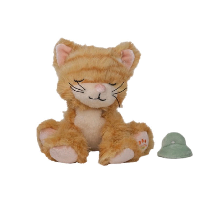 olli ella binky kitten koda - ginger