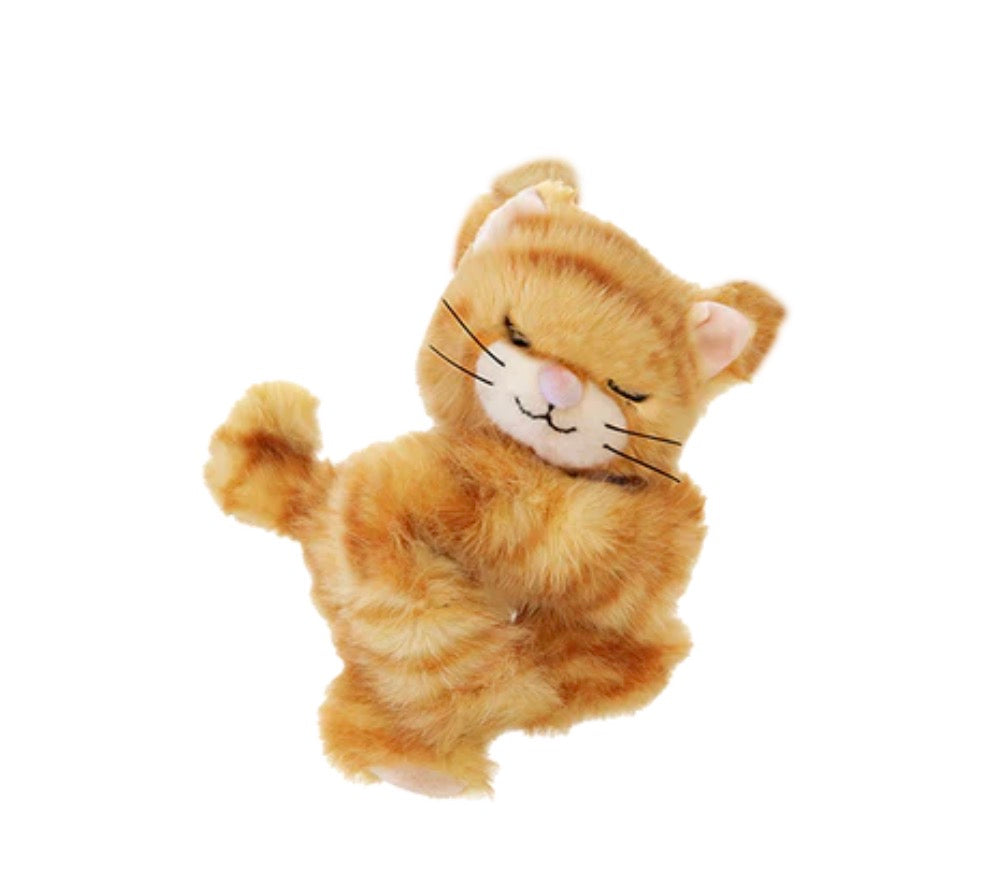 olli ella binky kitten koda - ginger