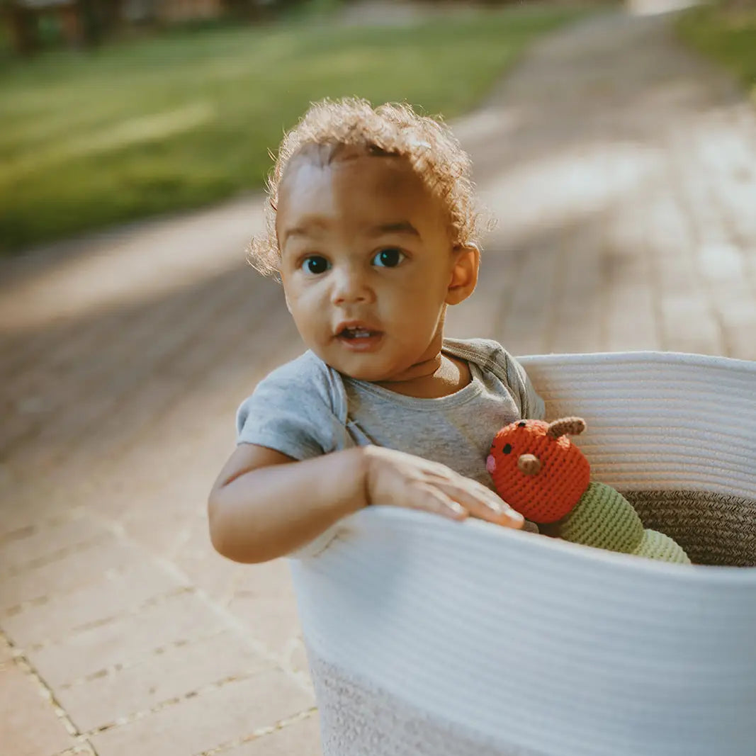 pebble child caterpillar bug rattle