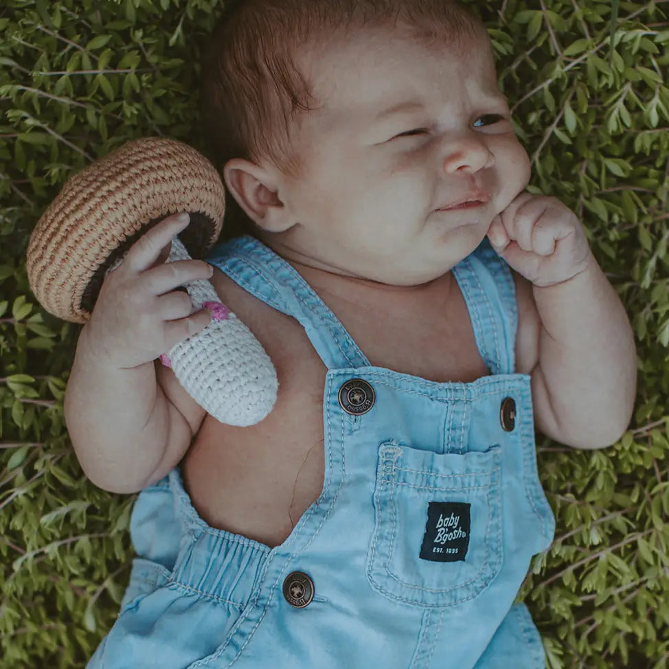 pebble child whimsical brown mushroom rattle