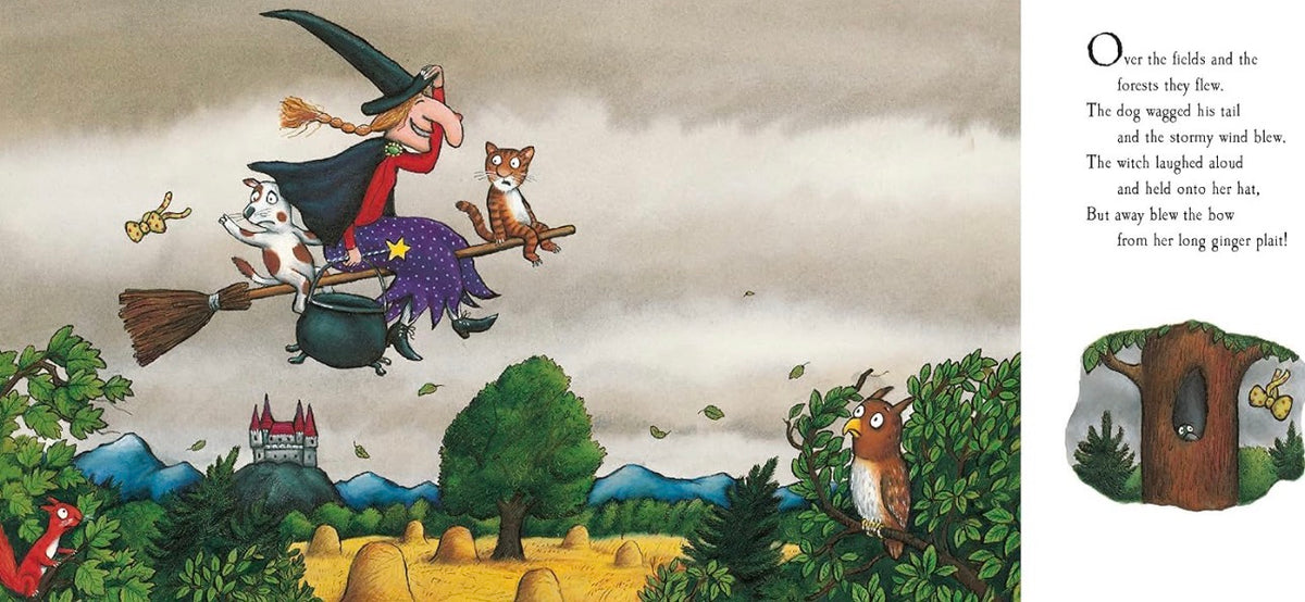 book - room on the broom
