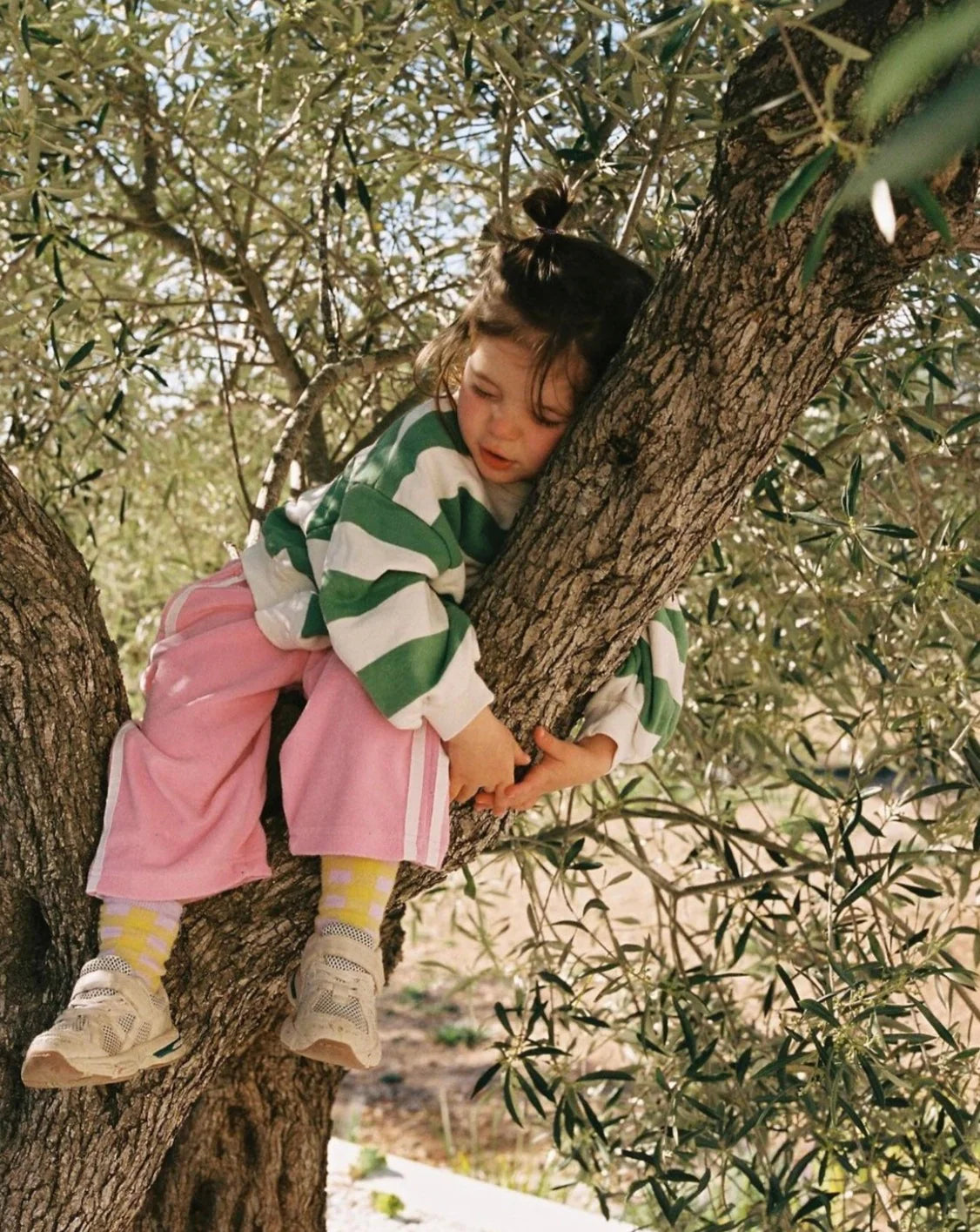 ziggy zaza toro pullover - verde - pre order