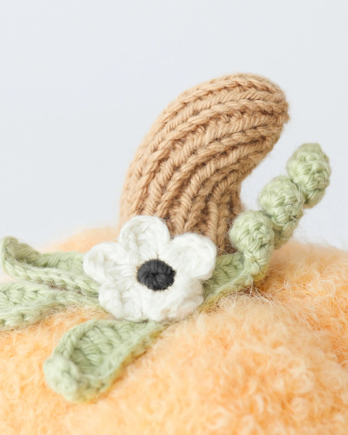 cuddle + kind baby pumpkin (moonflower)