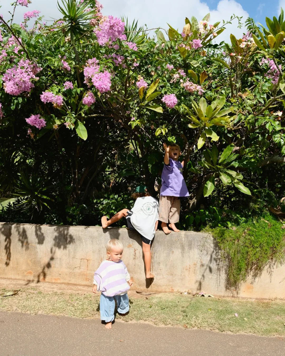 ziggy zaza toro pullover - lilac - pre order