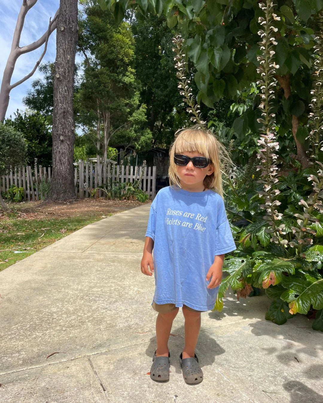 ziggy zaza roses are red tee - sky - pre order