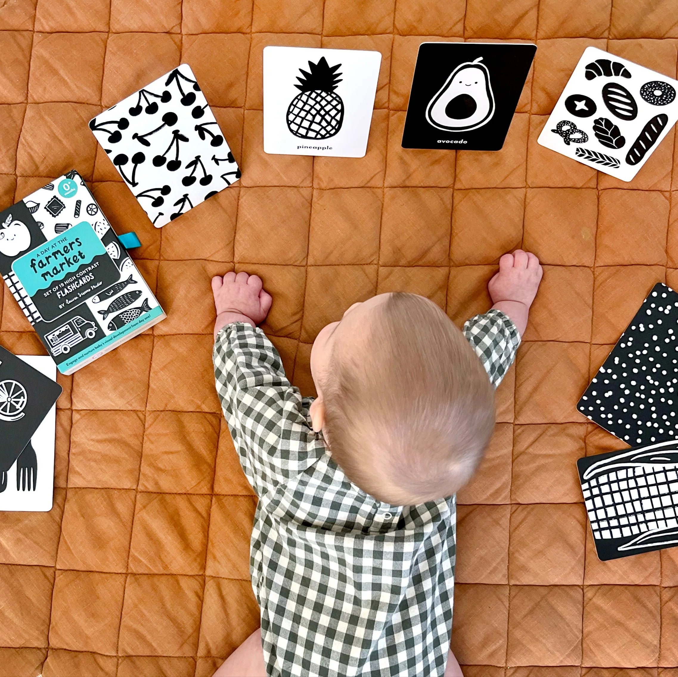 lauren sissons baby high contrast flashcards