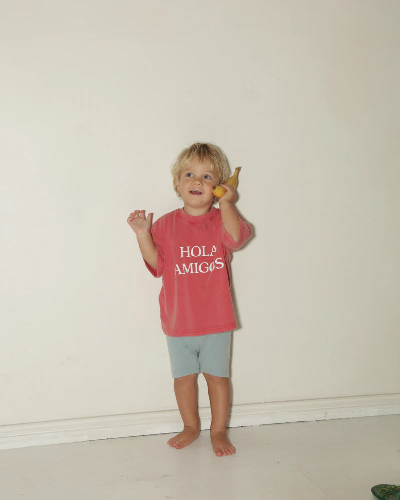 summer and storm oversized tee - hola amigos