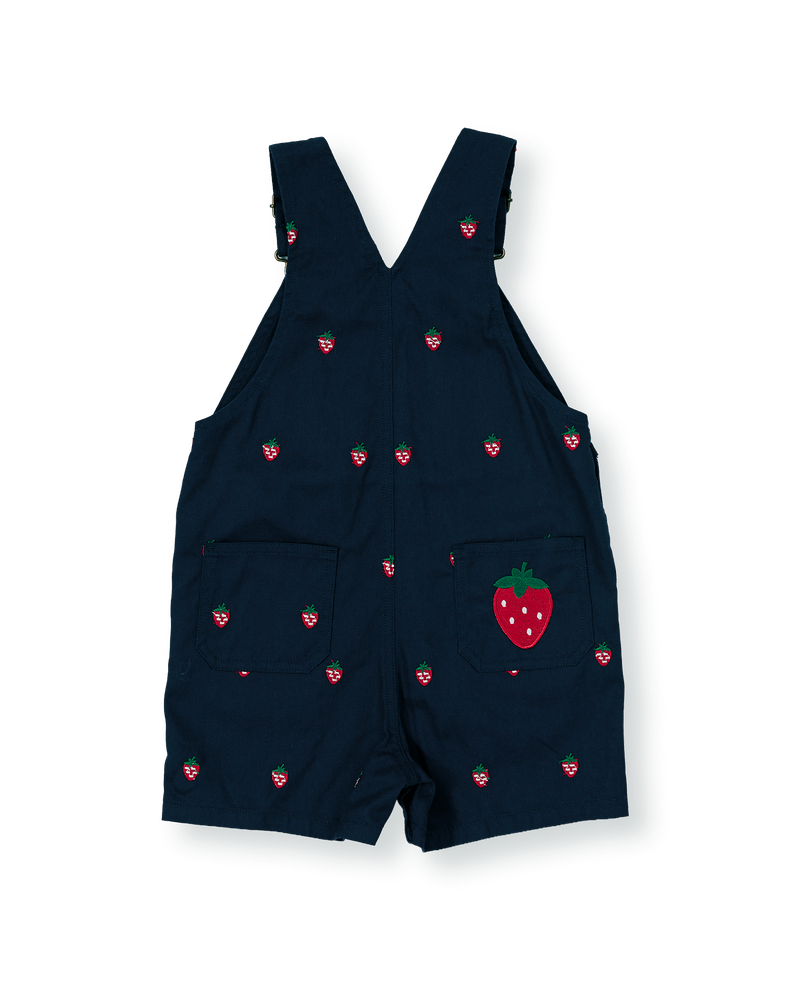goldie + ace mini strawberry embroidered burton overalls