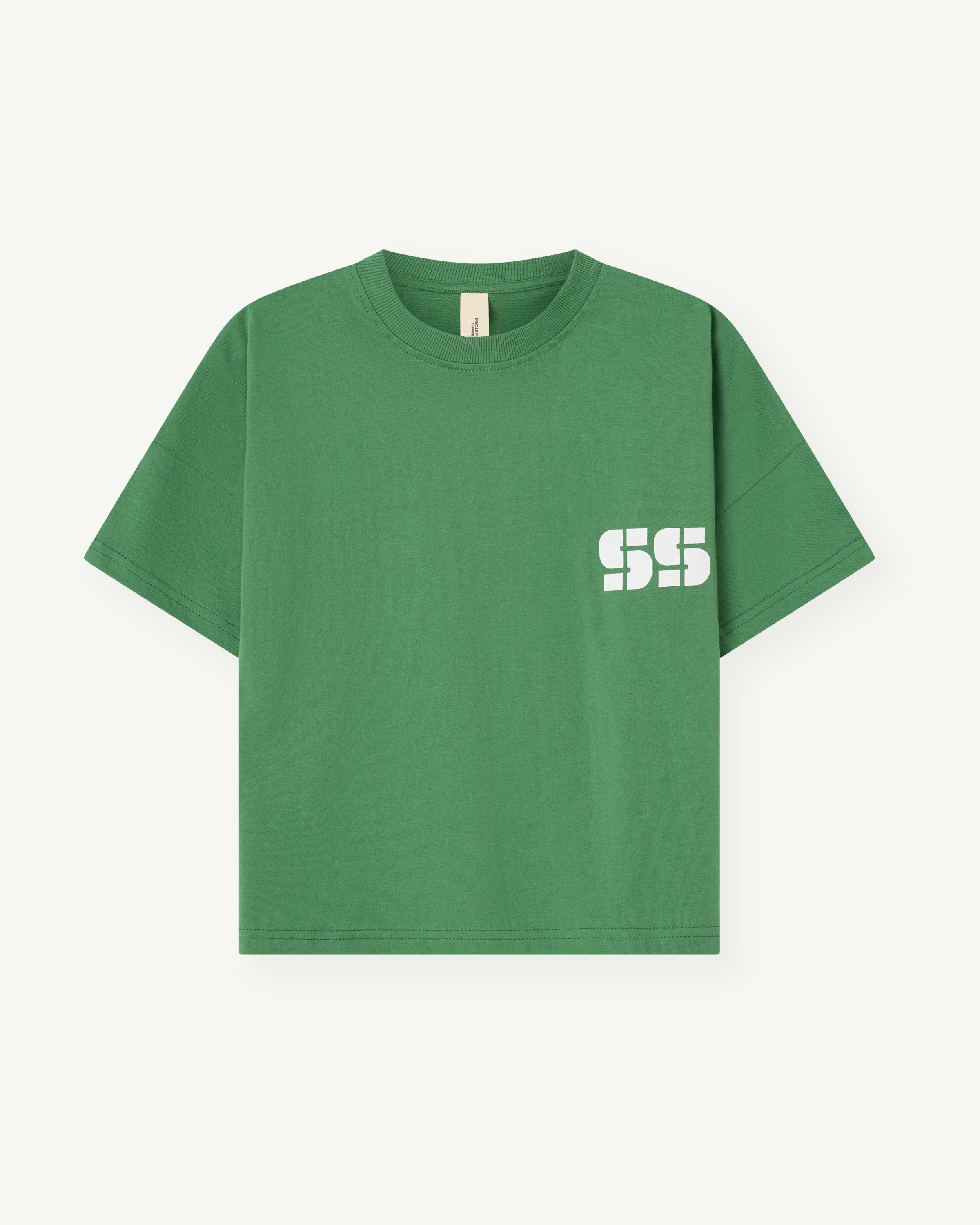 summer and storm oversized tee - green