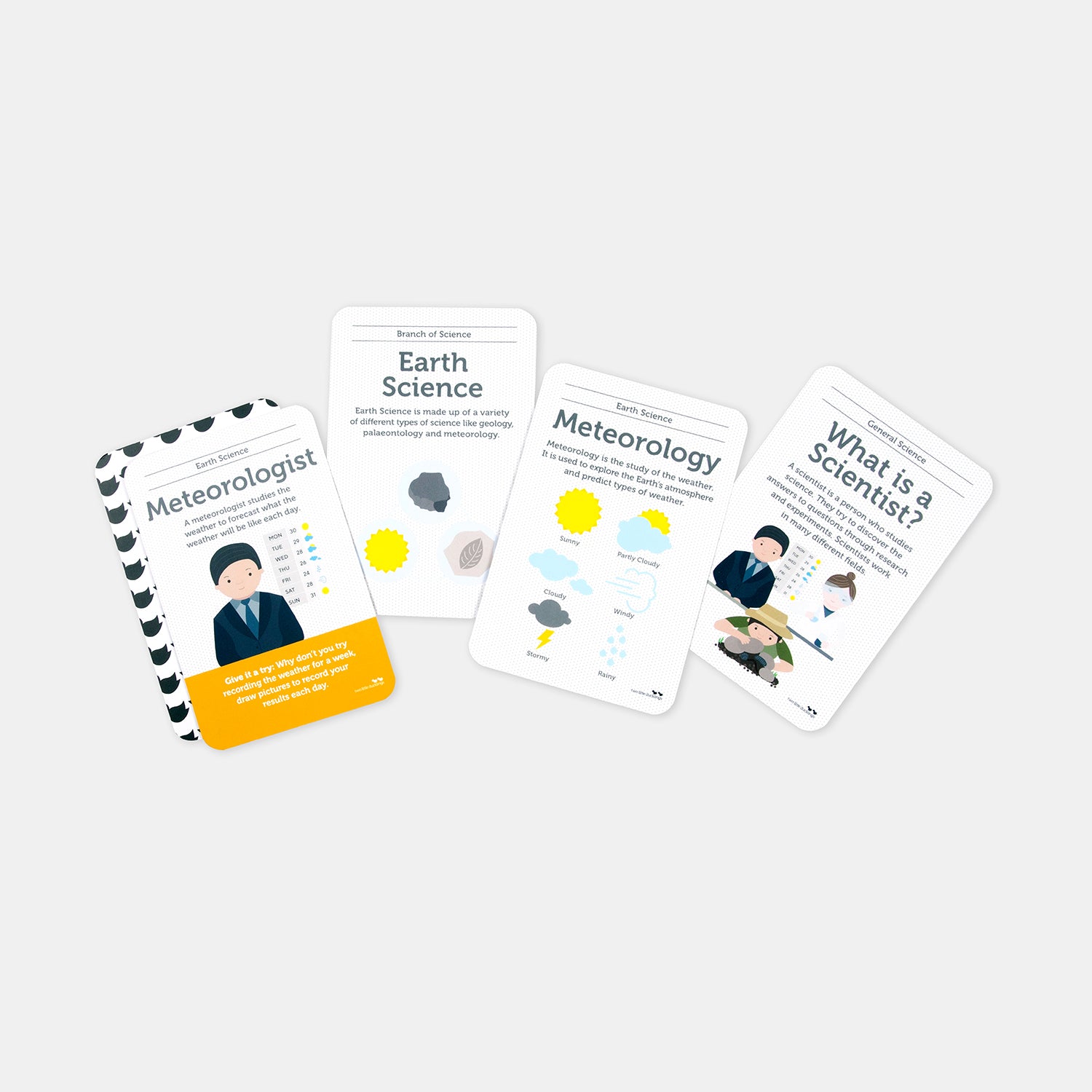 two little ducklings flash cards - science