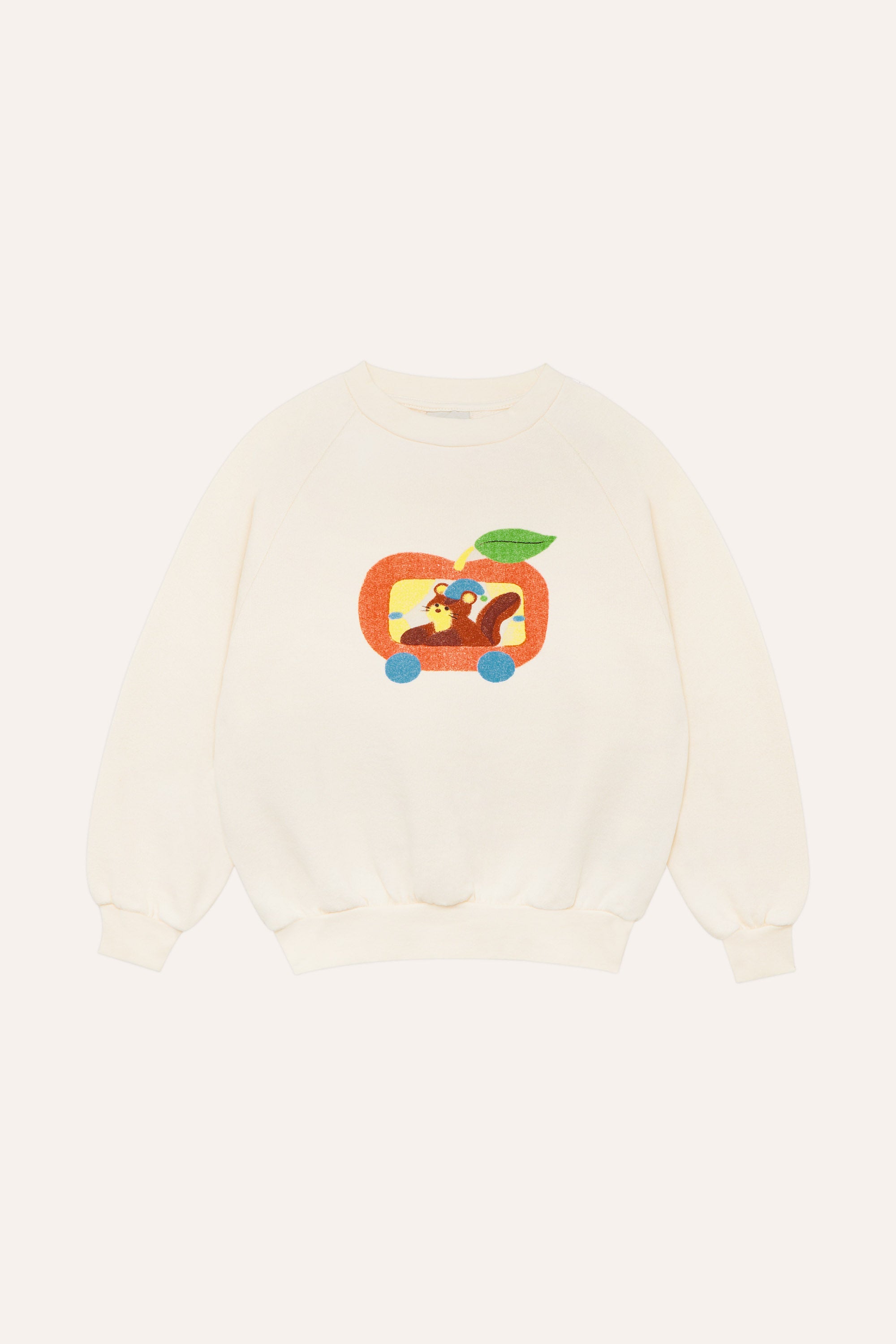 the campamento squirrel in an apple sweatshirt