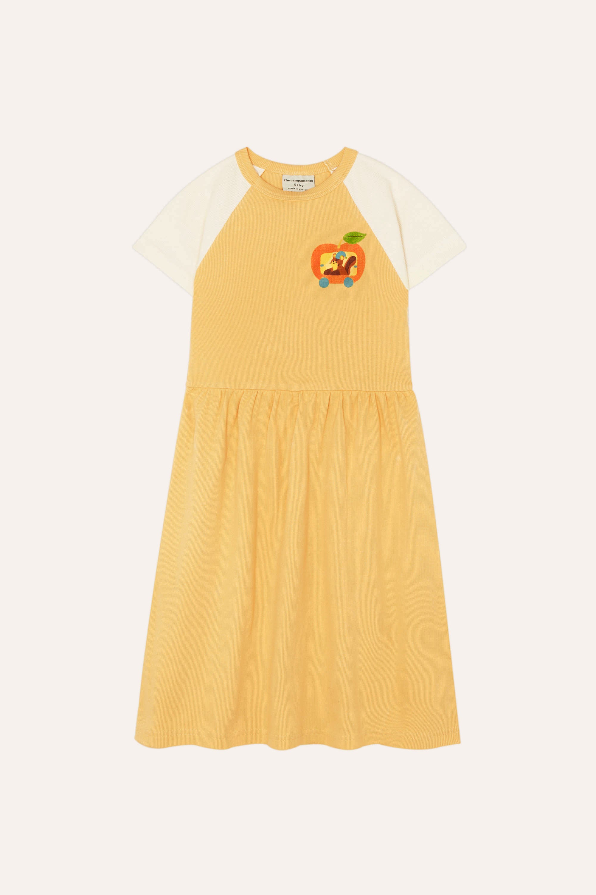 the campamento squirrel in an apple dress