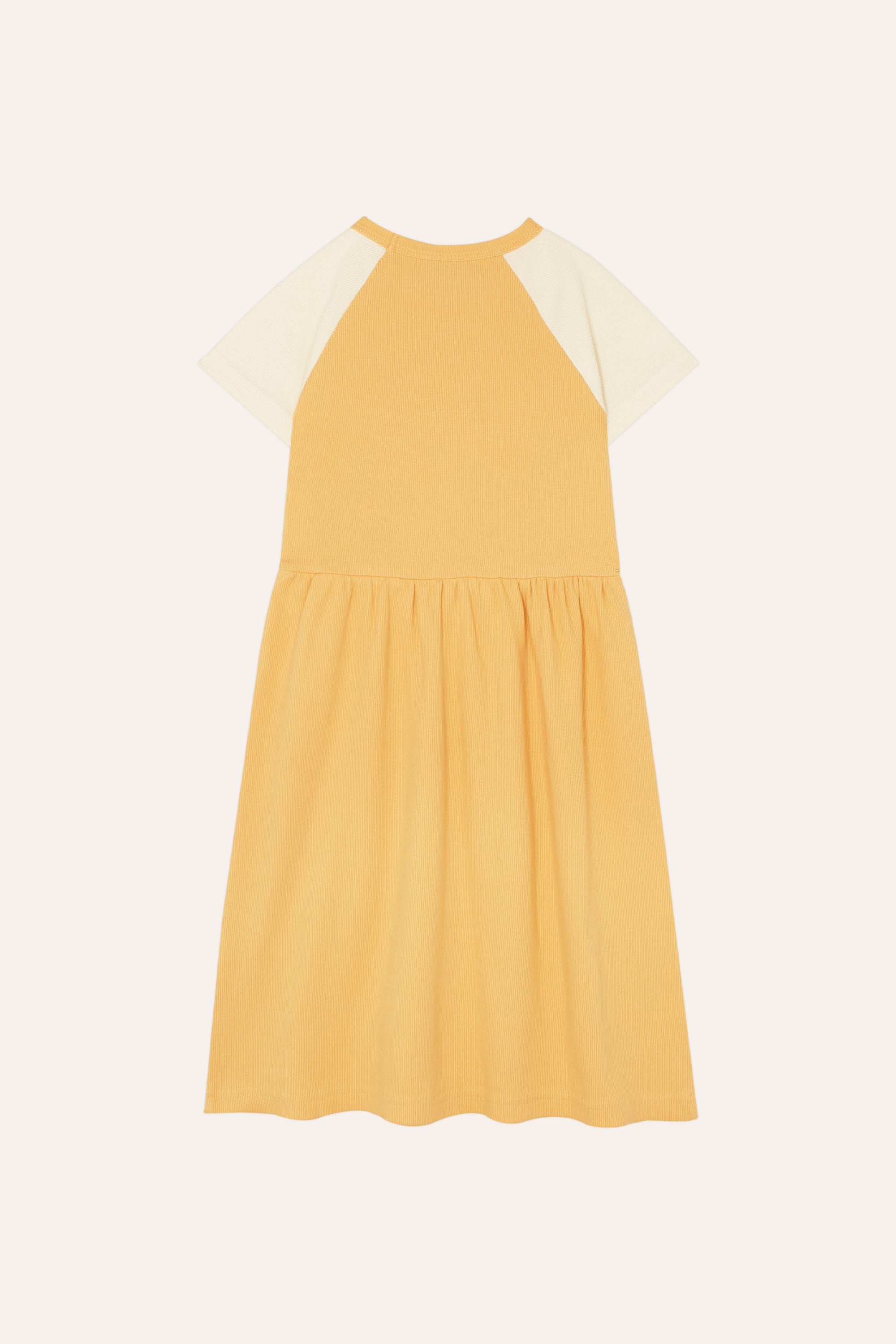 the campamento squirrel in an apple dress