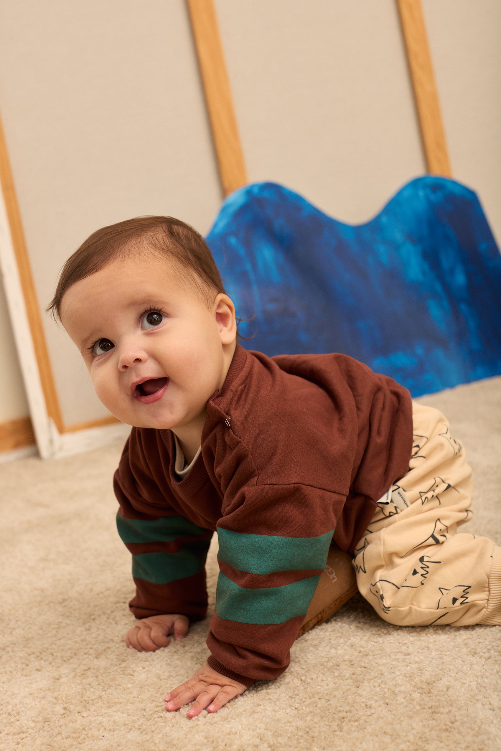 weekend house kids the city dog baby sweatshirt