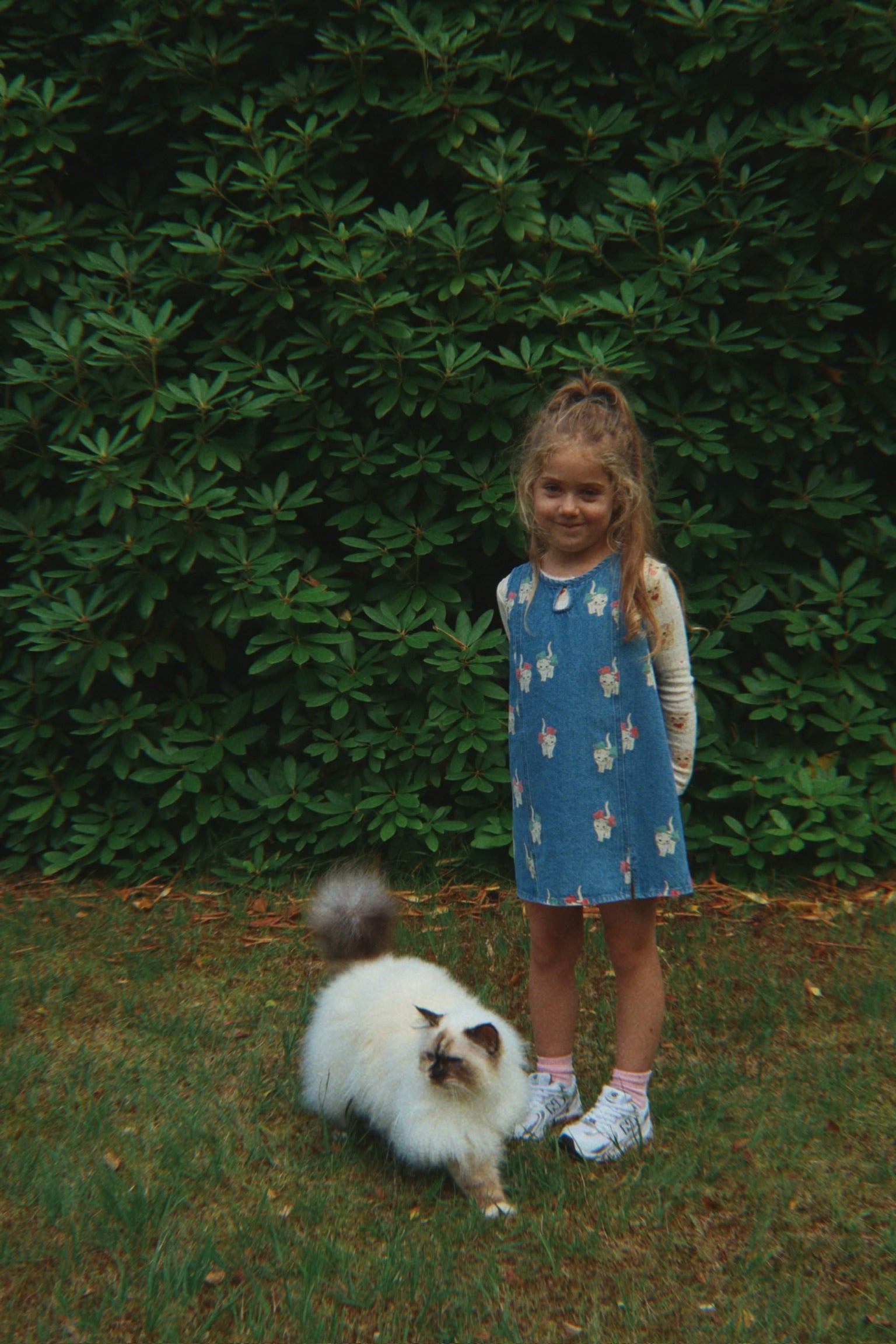 konges slojd magot dress gots - bow kitty denim