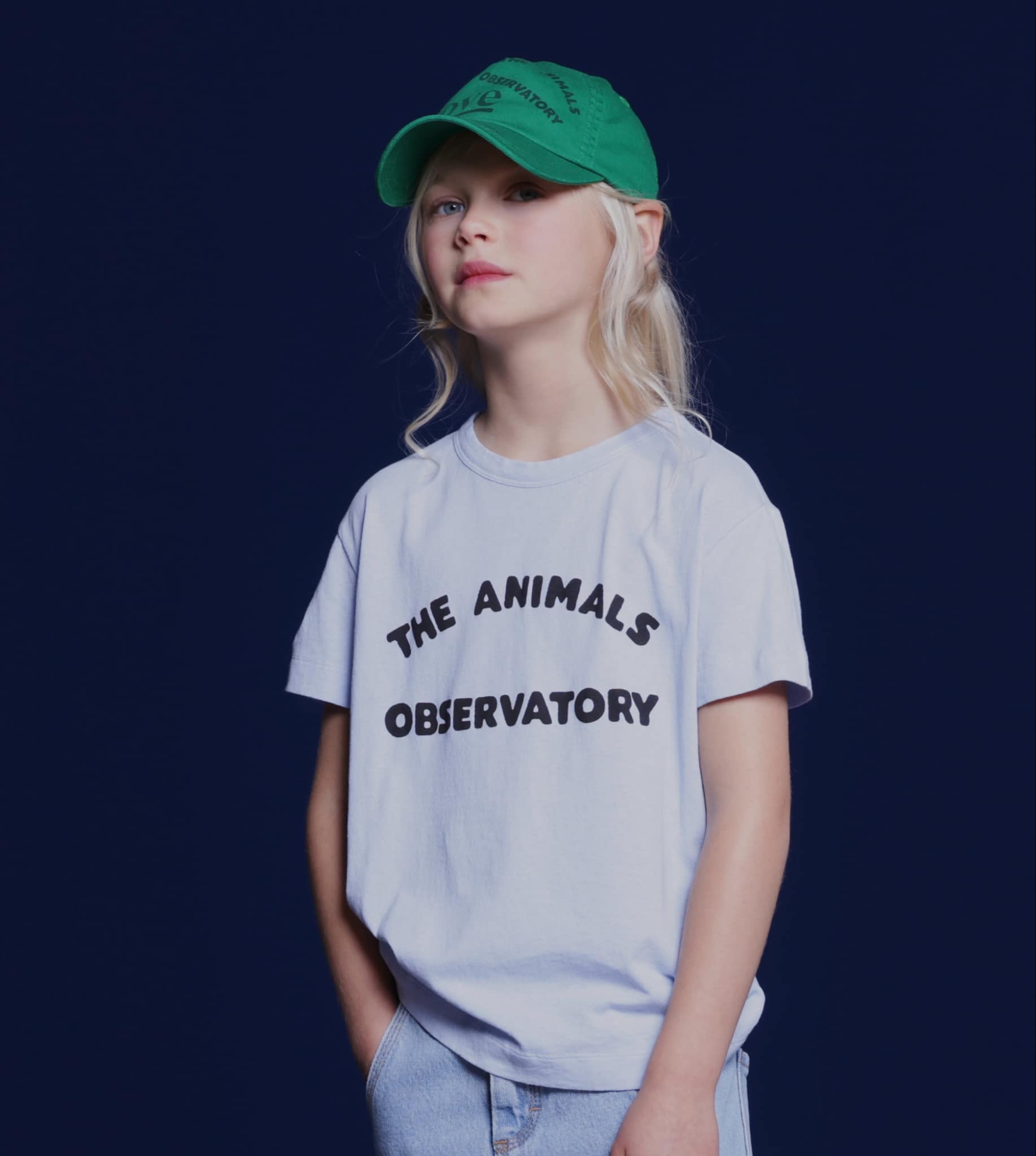 the animals observatory