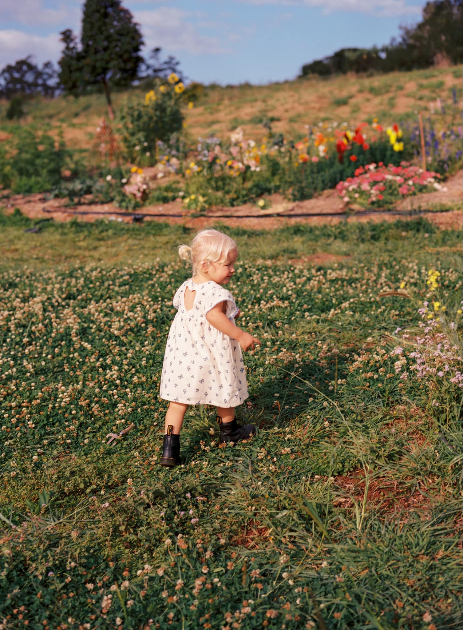 juni jnr daisy dress