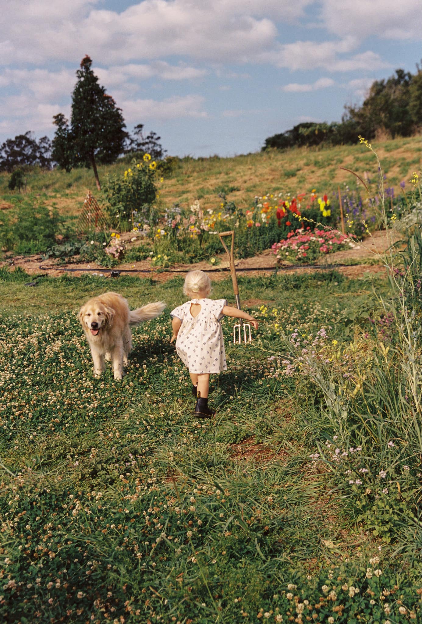 juni jnr daisy dress