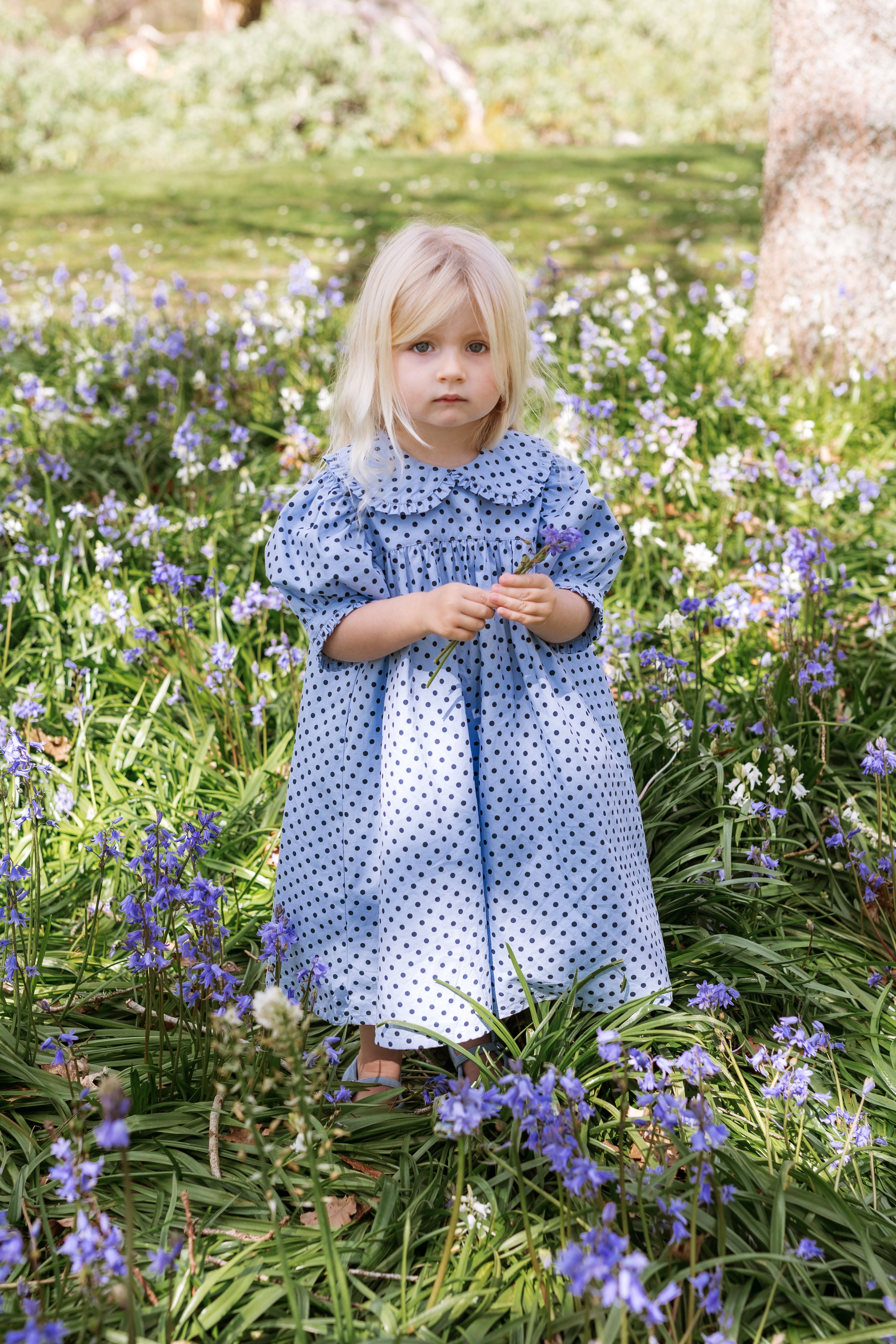 elma birdie dress - periwinkle dot