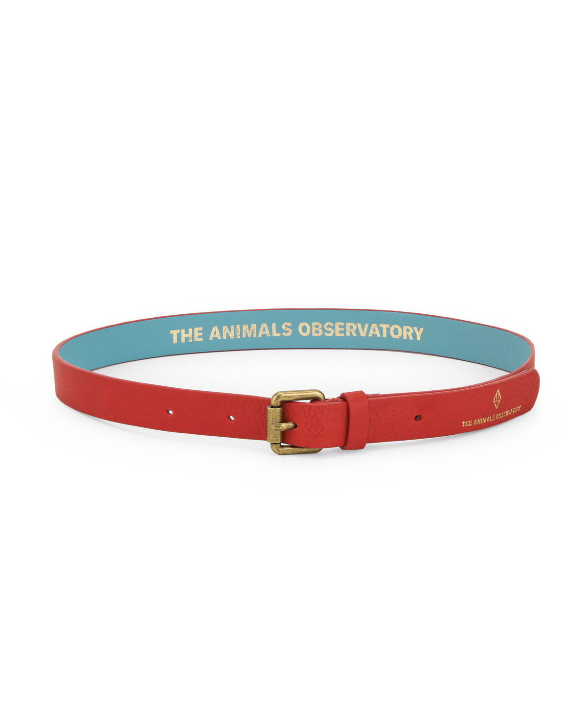 the animals observatory ibis kids belt - red