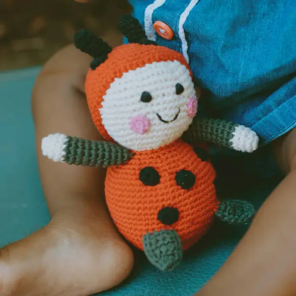 pebble child red lady bird rattle