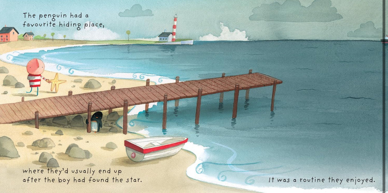 book - where to hide a star