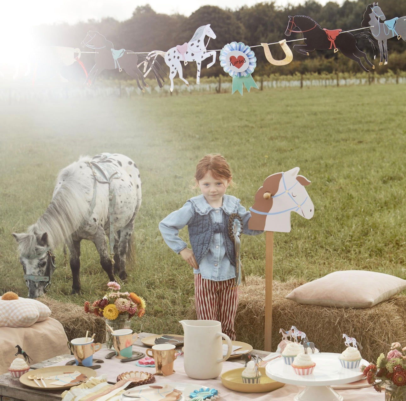 meri meri horse cupcake kit (pack of 24 toppers in 6 designs)
