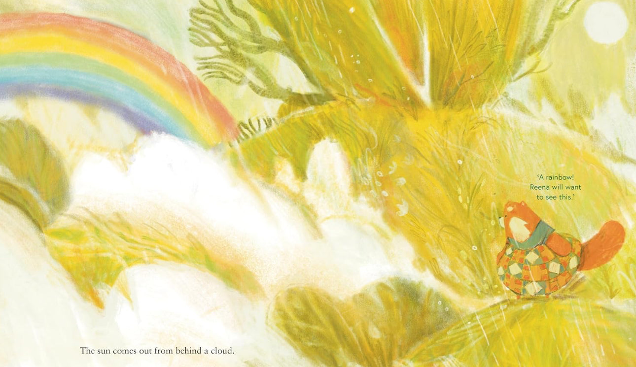 book - how to find a rainbow