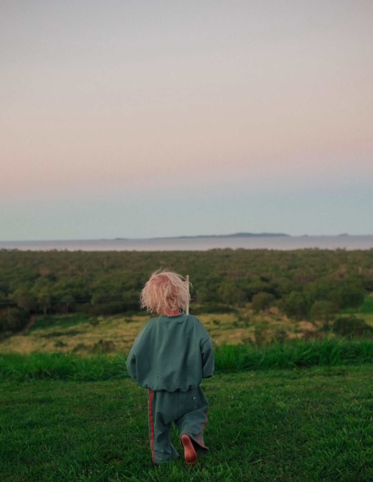 franco’s dad franc crew - green