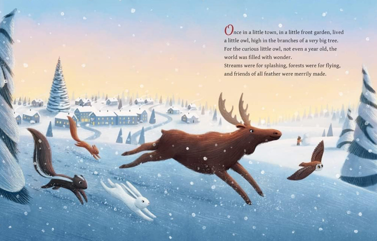 book - the christmas owl