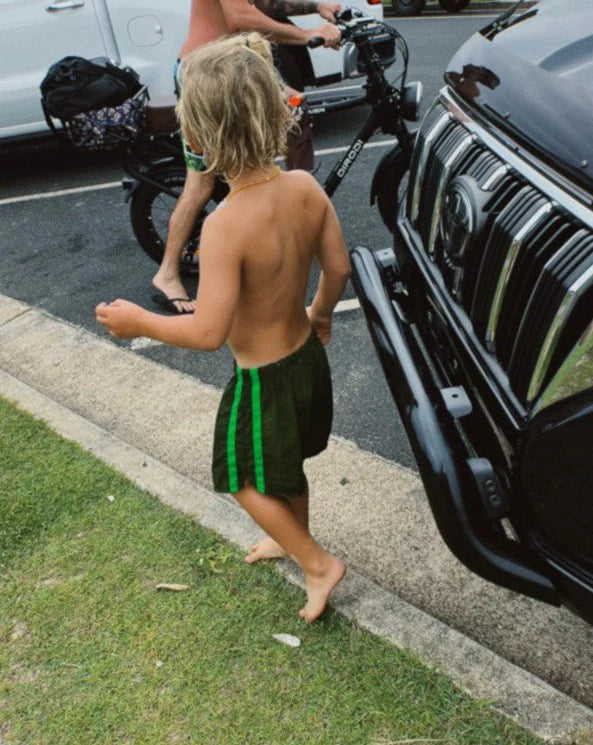 ziggy zaza twin stripe swim short - frog